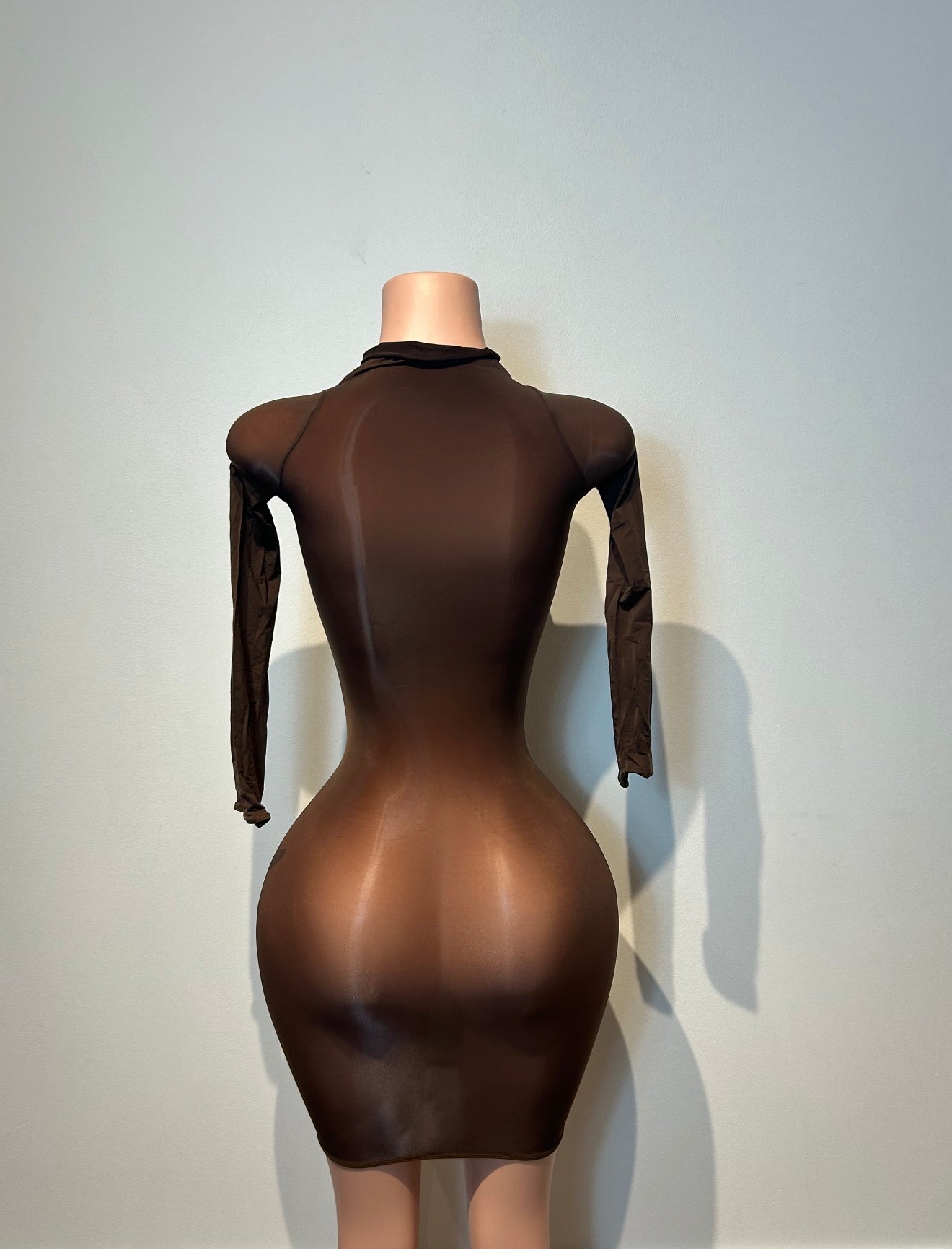 Sheer Long Sleeve Mesh Mini Dress