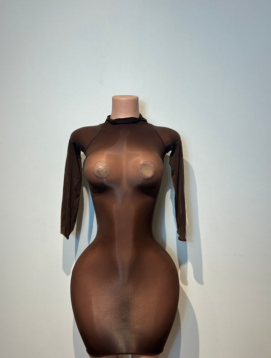 Sheer Long Sleeve Mesh Mini Dress